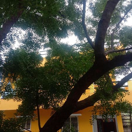 Thendral Hostel Monthly Rental 蓬蒂切里 外观 照片